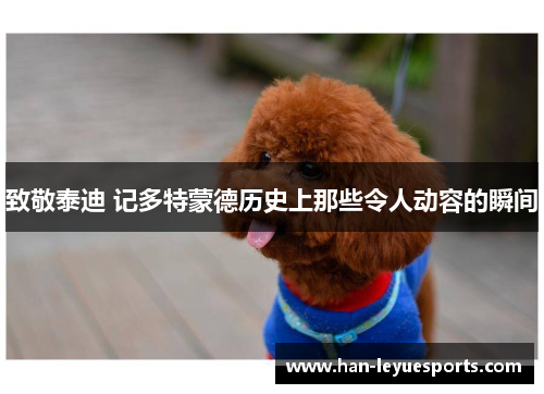 致敬泰迪 记多特蒙德历史上那些令人动容的瞬间