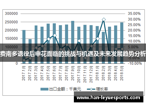 费南多退役后申花面临的挑战与机遇及未来发展趋势分析