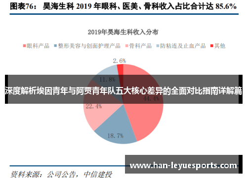深度解析埃因青年与阿贾青年队五大核心差异的全面对比指南详解篇