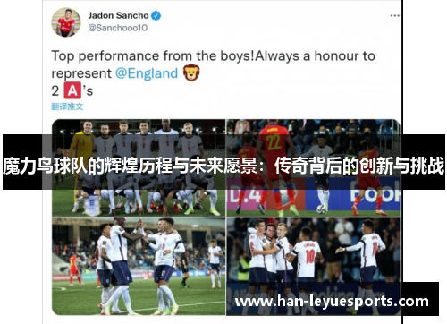 魔力鸟球队的辉煌历程与未来愿景：传奇背后的创新与挑战