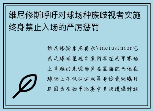 维尼修斯呼吁对球场种族歧视者实施终身禁止入场的严厉惩罚